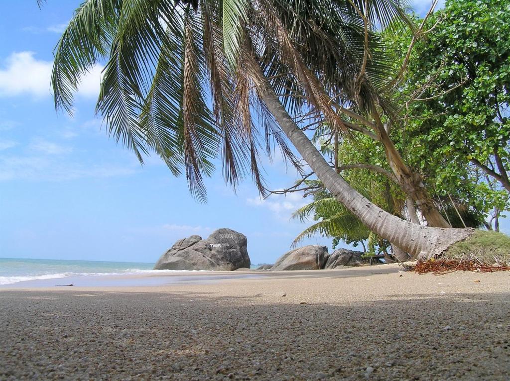 Thong Yang Bungalow Пханган Экстерьер фото